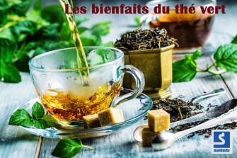 Le thé vert :  votre allié Bien être