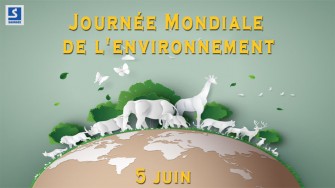 5 Juin : Journée mondiale de lenvironnement