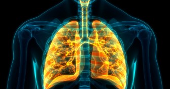 LEmphysème pulmonaire