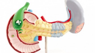 Cancer du pancréas localisé : Le drainage biliaire avant pancréatectomie enterrée ?