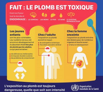 Intoxication au plomb : Dangers et prévention