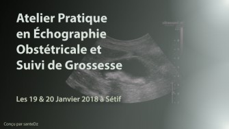 Atelier en échographie