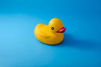 Les canards en plastique: de véritables nids à bactéries